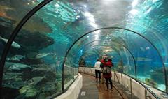 L'Aquarium