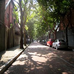 Old French Concession Streets