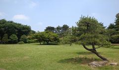 Nogawa Park