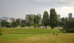 Vanier Park