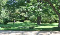 Botanical Garden of the University of Vienna